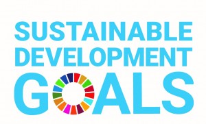 sdg_logo1_2021